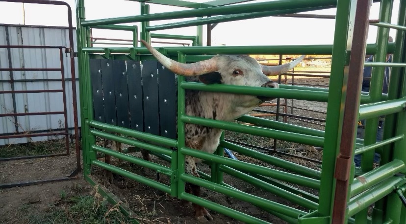 Longhorn Chute Squeeze Chutes and Head Gates