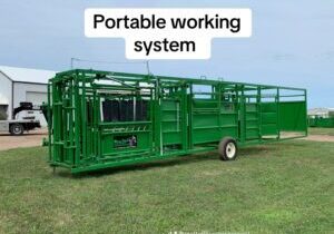 Real Tuff Portable System